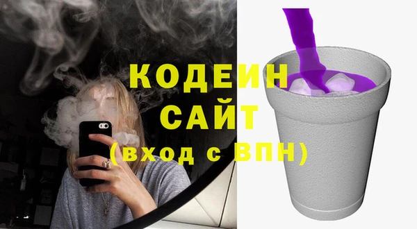 ГАЛЛЮЦИНОГЕННЫЕ ГРИБЫ Арсеньев