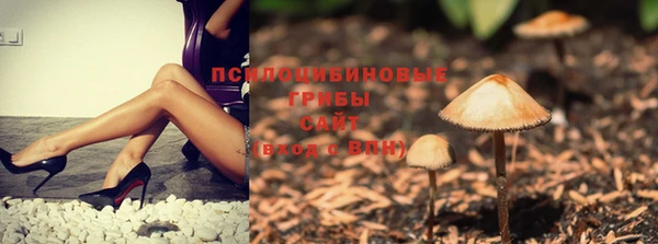 бутик Аркадак