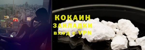 ГАЛЛЮЦИНОГЕННЫЕ ГРИБЫ Арсеньев
