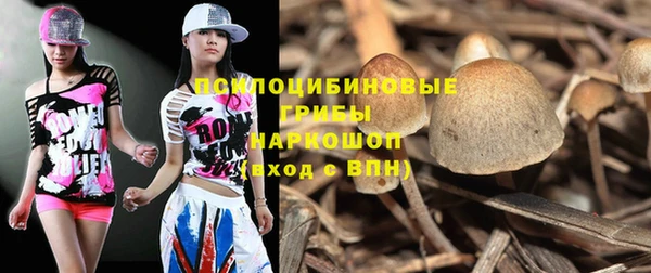 ГАЛЛЮЦИНОГЕННЫЕ ГРИБЫ Арсеньев
