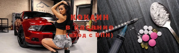 ГАЛЛЮЦИНОГЕННЫЕ ГРИБЫ Арсеньев