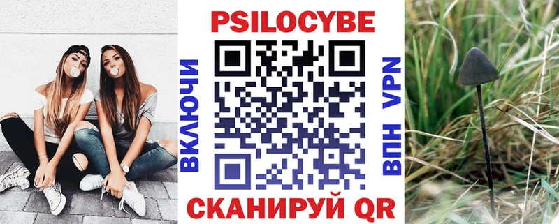 Галлюциногенные грибы прущие грибы кракен Белово закладка